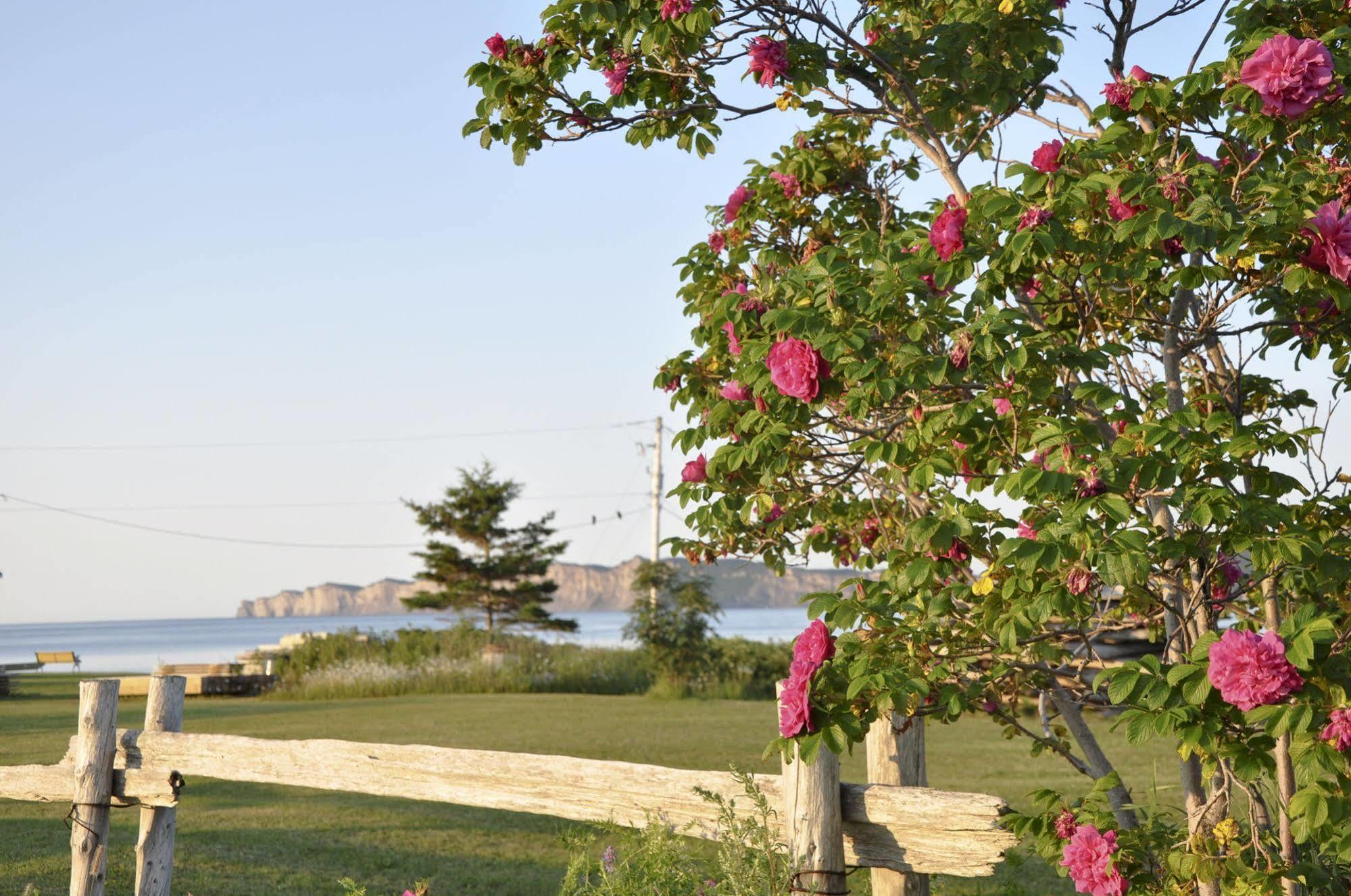 Motel Du Haut Phare Cap-des-Rosiers Luaran gambar